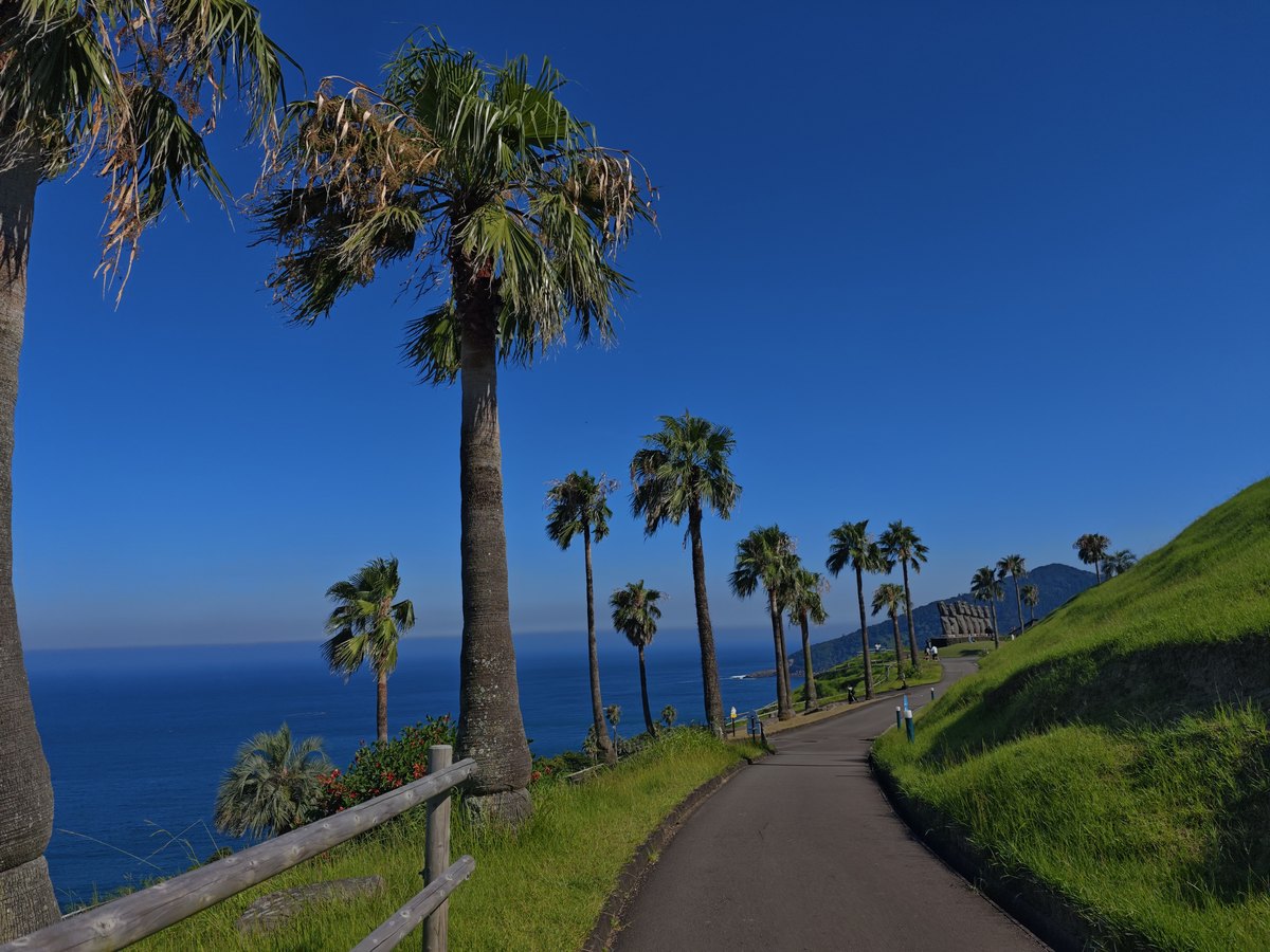 サンメッセ日南の海沿いのヤシの木と散策路