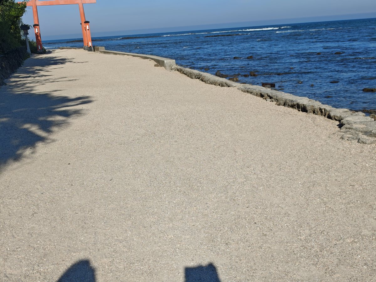 海沿いの道と鳥居