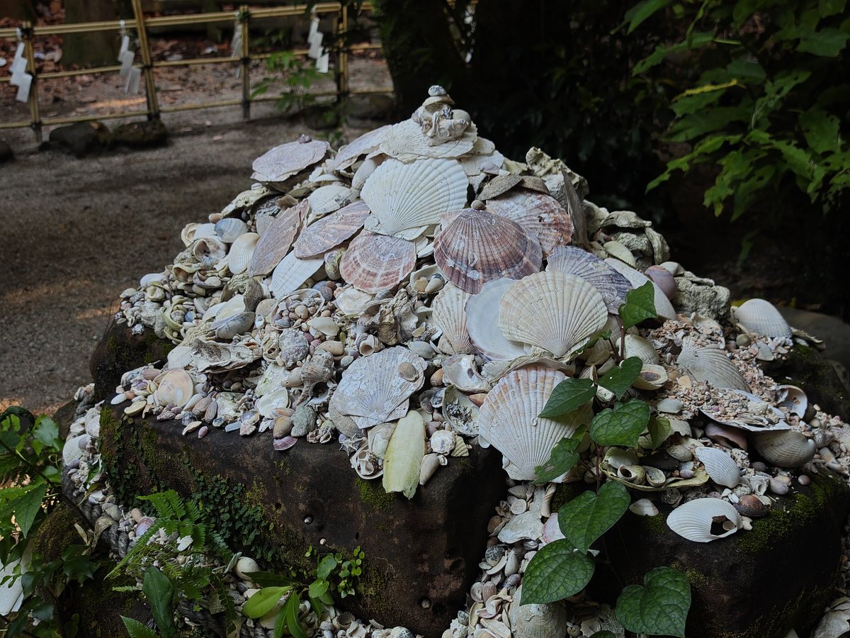 貝殻が積まれた場所