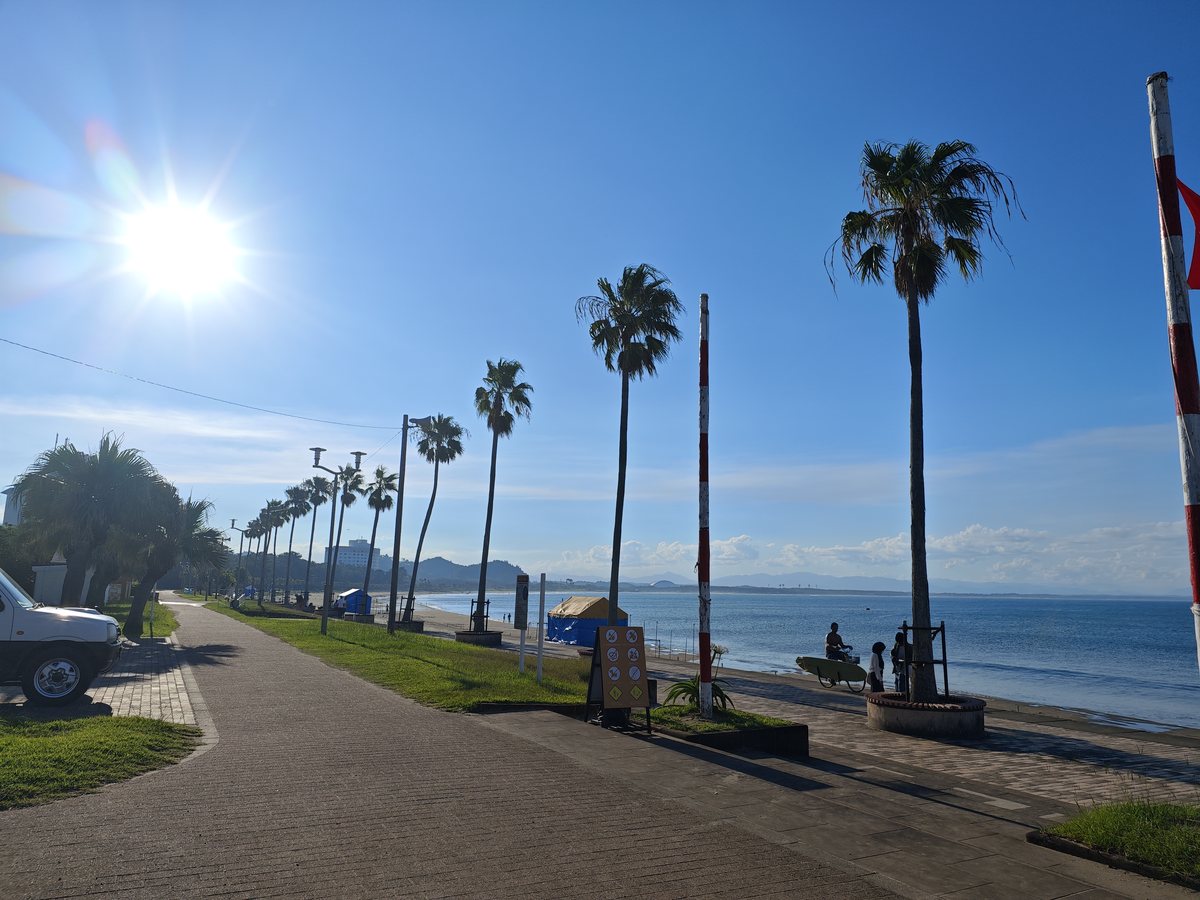 海沿いの歩道とヤシ並木