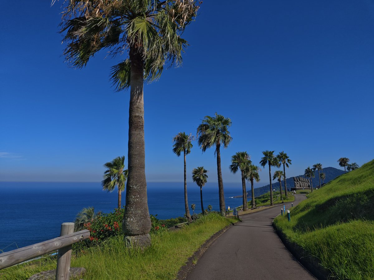 サンメッセ日南の海沿いの散策路とヤシの木