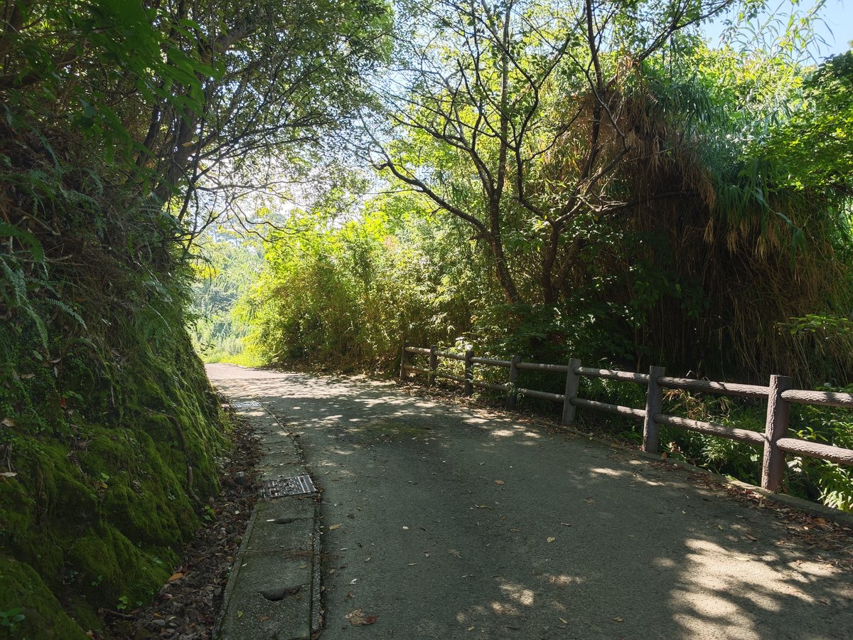 鵜戸神宮の手前の木陰の道