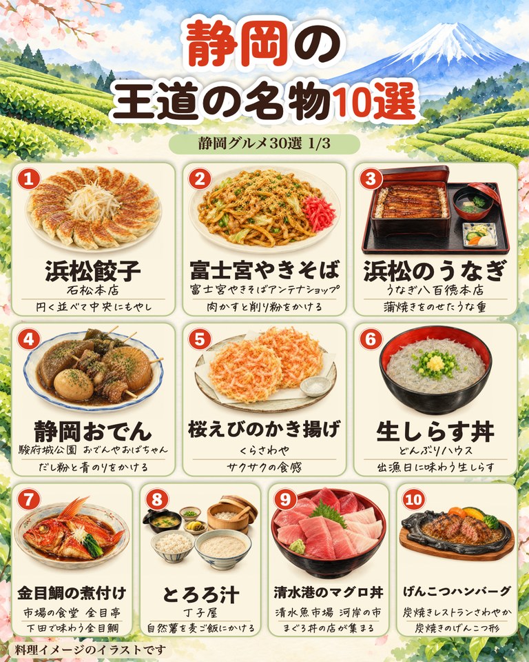 静岡グルメ 王道の名物10選のイラスト(浜松餃子、富士宮やきそば、浜松のうなぎ、静岡おでん、桜えびのかき揚げ、生しらす丼など)